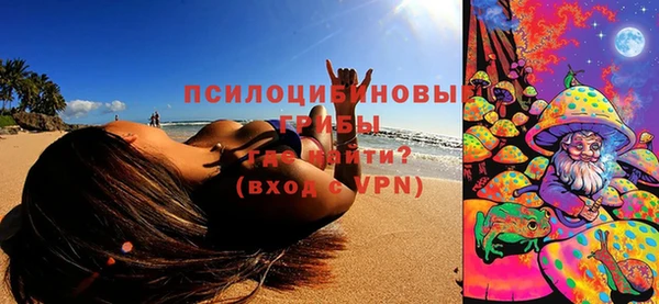 spice Зеленодольск